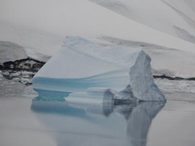 ワンワールド世界１周航空券で2017年南米＆南極海クルーズ・南極海クルージングその2