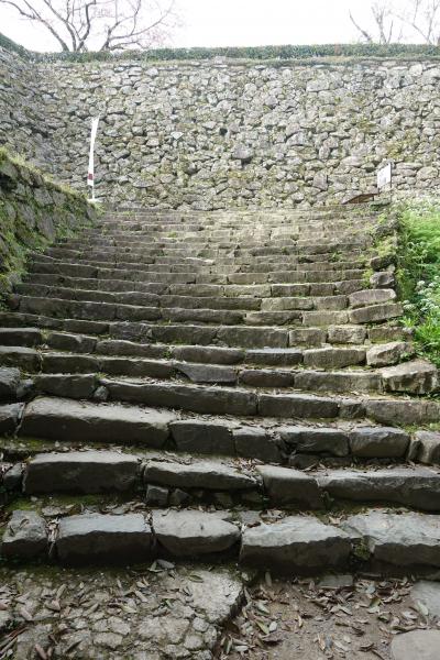 【２泊３日　春の愛媛　ひとり旅】お城と桜と橋と鯉！の巻　３