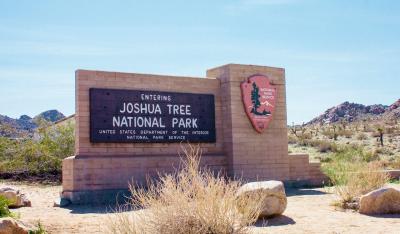 砂漠・巨岩・ヘンテコな木・照りつける太陽　その国立公園の名はジョシュア国立公園