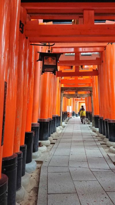 インバウンドが、全然いない京都伏見稲荷大社 嵐山散策と竹林の道。和服で訪れたい京都観光