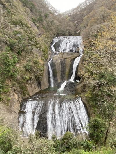 2021年4月　奥久慈の旅　2日目　久々の袋田の滝を堪能