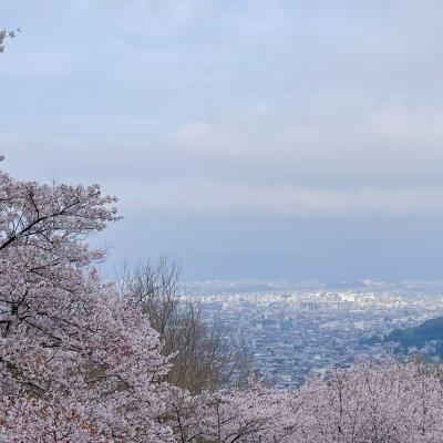 ANDOHOTEL奈良若草山に宿泊、桜を愛でる春旅。