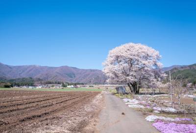 靴を受け取りに長野まで。