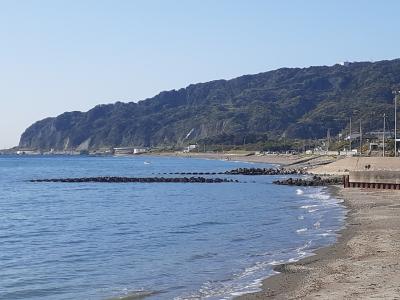 日本一の大仏がある鋸山（３２９ｍ）に登ってきました♪