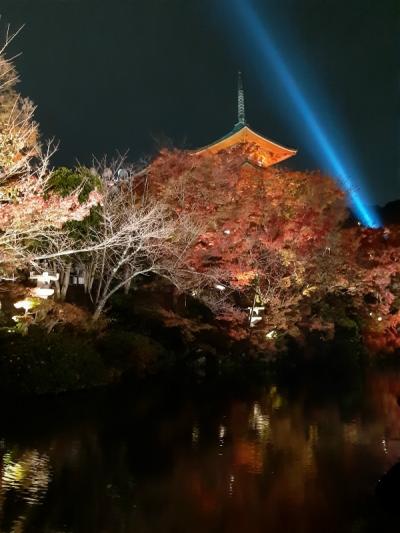 ＧｏＴｏトラベルで行く紅葉の京都（１１月２０日分）