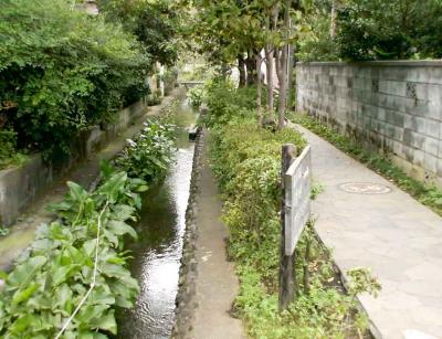 東京単身赴任時代の思い出　高尾、奥多摩、武蔵野