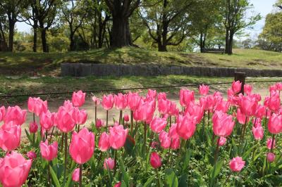 吹田 万博公園に関する旅行記 ブログ フォートラベル 大阪 吹田 万博公園に関する旅行記 ブログ フォートラベル 大阪