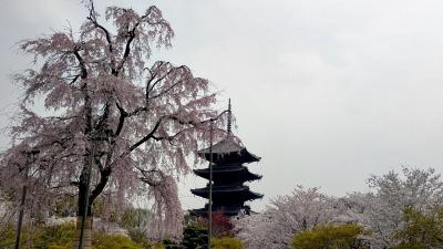 京都駅周辺！徒歩で巡る東本願寺・西本願寺・東寺