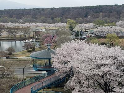 佐野厄よけ大師と那須塩原温泉へ行ってきました。（1日目）