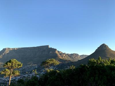 青空のテーブルマウンテンを眺める南アフリカ・ケープタウンの旅