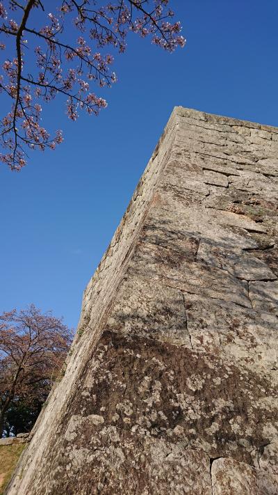 米Go城  桜吹雪to 吾子の春 