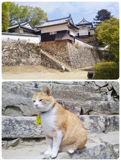 天空の要塞・備中松山城へ～備中高梁を再訪～【前編】