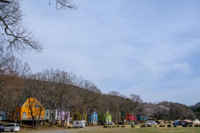 城里でキャンプ、ちょこっと桜&散歩。