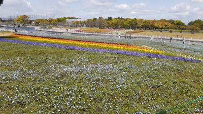 東海道本線普通列車と臨時路線バスで行く浜名湖ガーデンパークの花を楽しむ日帰り旅(前編)