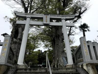 水郡線完乗の旅