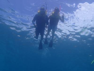 パラオの海に行ってみた（２/２）　ダイビング以外のこと