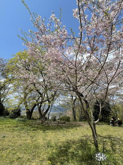 妹と弘法山公園へ