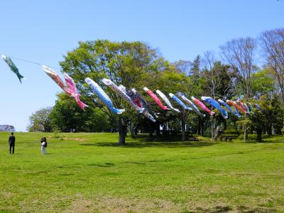 千葉市昭和の森ウォーキング