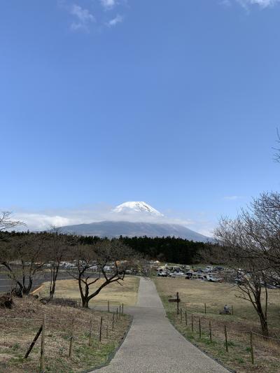 日帰りバスツアー「浅間神社五社巡り」で富士吉田のパワースポットを堪能する 