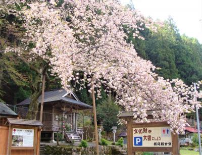 微笑みの円空仏  !  天川村へ