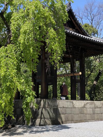 新緑の増上寺.芝公園.愛宕神社散策　前編.増上寺