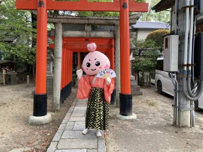 湯葉に牛タンにファイテンウォーター 藤森神社に西日本唯一のファッションストア グルメと観光の京都一泊二日 ウォーターマークホテル京都