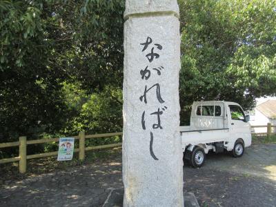 奈良サイクリング　クロスバイクで京都さんぽ2021