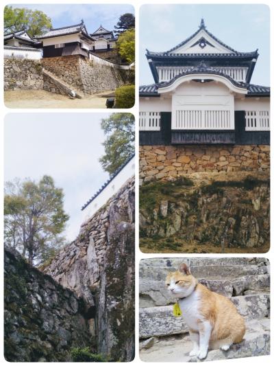 天空の要塞・備中松山城へ～備中高梁を再訪～【後編】