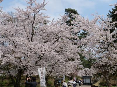 【みちのく三大桜】2泊3日（2日目）