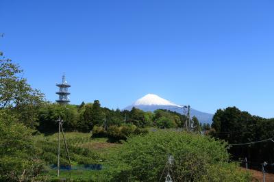 岩本山公園(静岡県富士宮市）へ・・・