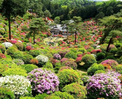団塊夫婦の春の花巡りドライブ(2021ハイライト)ー素晴らしい庭園美・青梅塩船観音寺へ