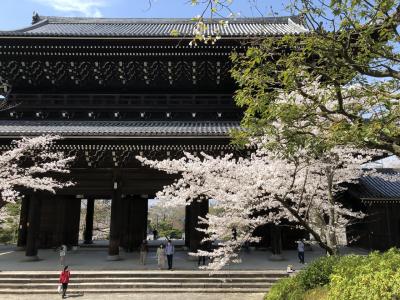 知恩院、円山公園