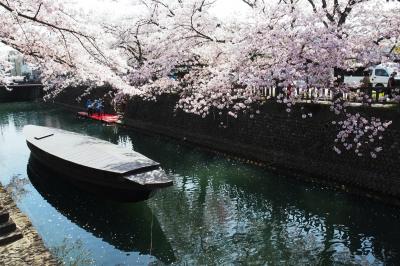 18きっぷで岐阜めぐり&#12316;大垣八幡神社・純喫茶・金神社編&#12316;