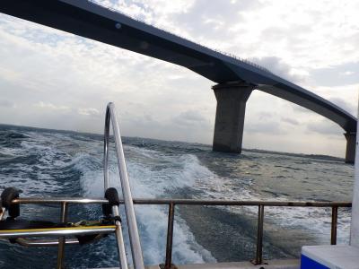 宮古島　ダイビングと来間島