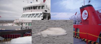 北海道・道東の冬の風物詩・オホーツク海の流氷ツアー