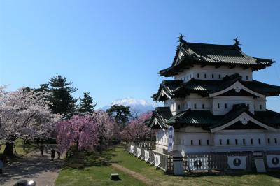弘前公園 満開の桜　おまけで北海道新幹線と函館観光