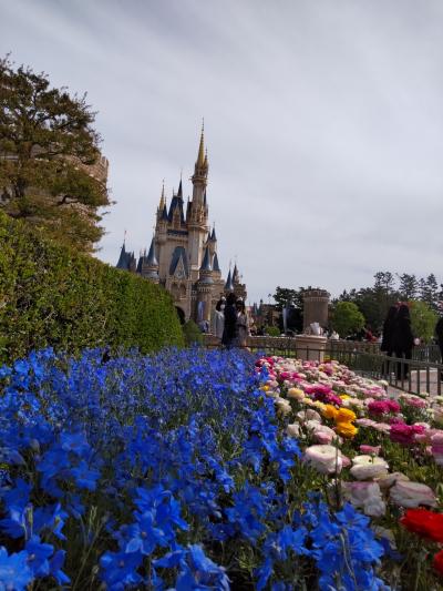 東京ディズニーランド&東京ベイ舞浜ホテル宿泊4月24日