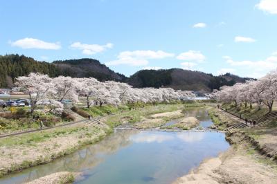 名所がたくさん、福島の桜を見に行ってみました。1日目