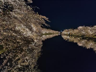 松前、弘前の桜と八幡平
