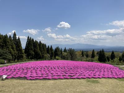 5・8歳連れ、熊本から阿蘇と久住高原ドライブ週末旅行