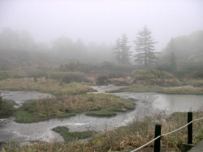 東京単身赴任時代の思い出　春の奥入瀬と八幡平へ　２．残雪の八幡平