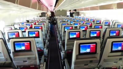 JALタイムセール利用 横浜１泊２日旅【ＪＡＬ３１０便 福岡～羽田 国内線用Ｂ７８７-８初搭乗編】