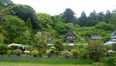 関西花の寺巡り