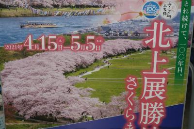 行くぜ、東北。どんよりした空の下、北上展勝地の桜を見てきました