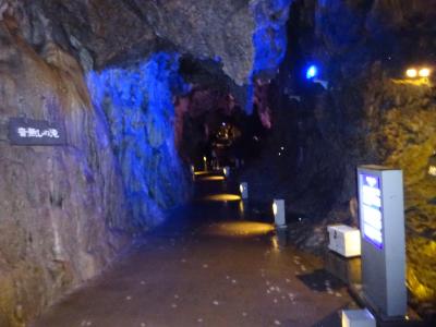 岩泉 龍泉洞に関する旅行記 ブログ フォートラベル 岩手県
