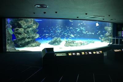 【おさんぽ水族館ログ】サンシャイン水族館 2019年11月