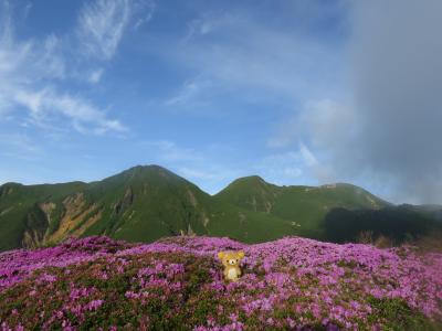 九州最高峰に登ってくるクマ　その１　朝飯前の法華院温泉山荘から立中山
