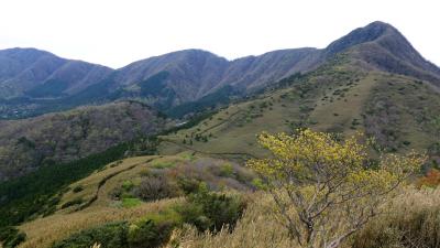 箱根外輪山、カヤトだらけの道を行く　part1：明神ヶ岳