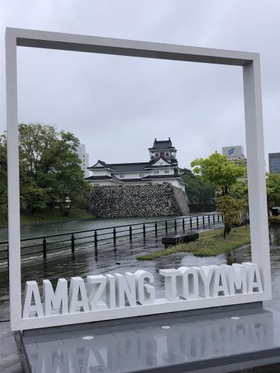 雨の降る中、富山市内を手短に観光