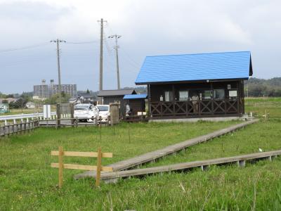 成東・東金食虫植物群落と波切不動尊と丸仙会館でランチ。